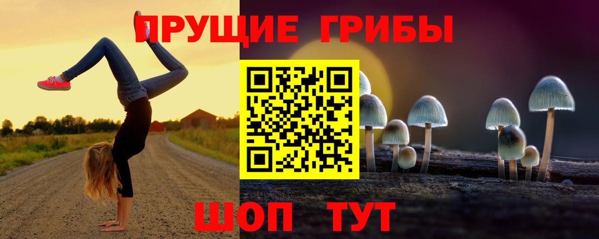 Псилоцибиновые грибы MAGIC MUSHROOMS  Вход с VPN  Анапа  Псилоцибиновые грибы прущие грибы 